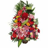 ٺʻٵ