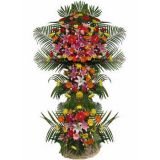 ٺʻٵ